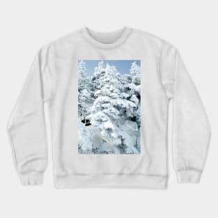 At The Top Crewneck Sweatshirt